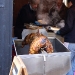 Six-Nations-Tour-Londra-2009--50.jpg