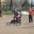placcaggio (Medium).jpg