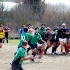 DSC_6680.jpg